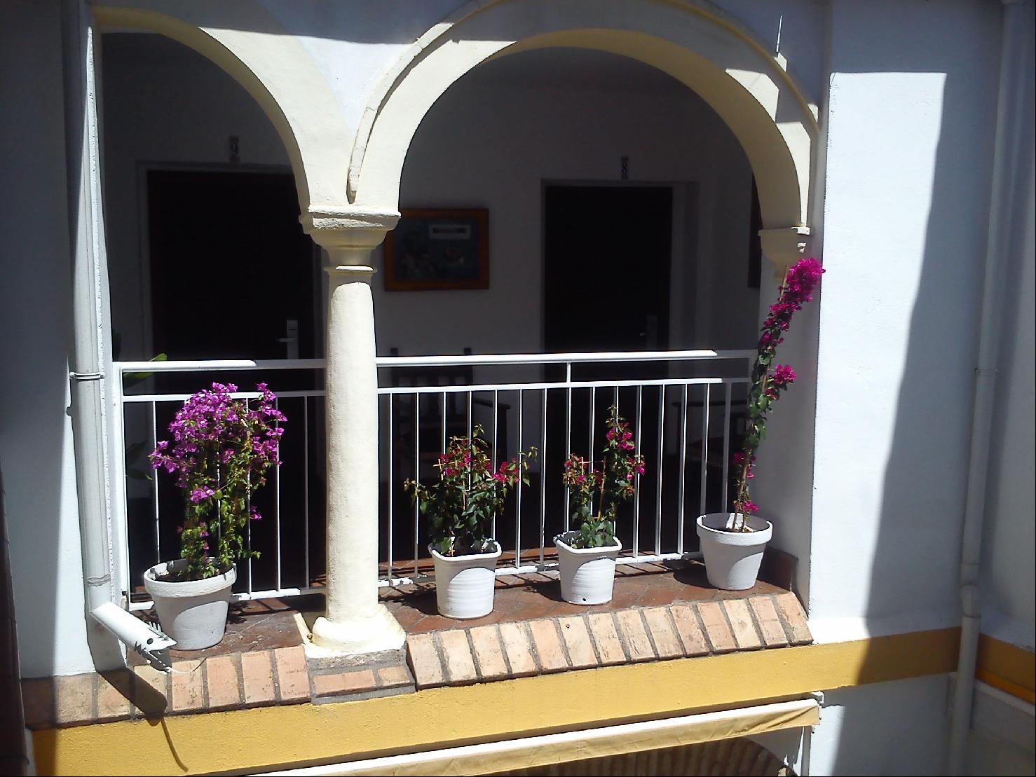 Casa de los Naranjos Córdoba Exterior foto